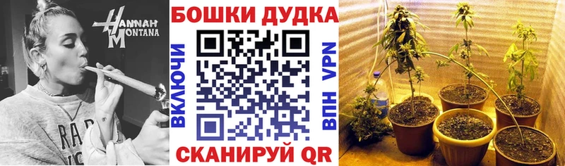 Где купить наркотики Элиста Каннабис А ПВП Мефедрон Кокаин