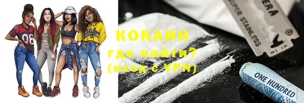 индика Абинск