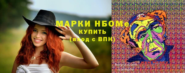 шишки Алзамай