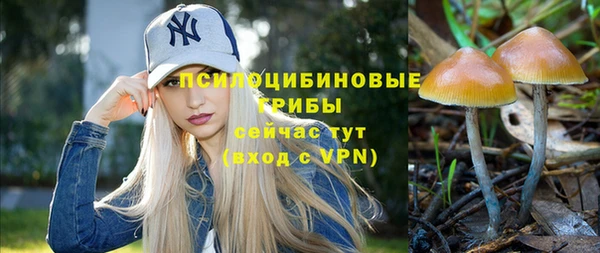 спайс Козловка