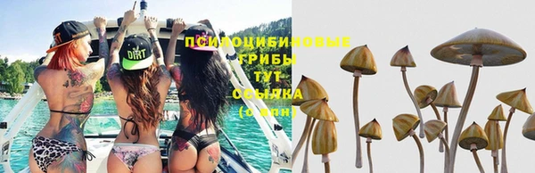 индика Абинск