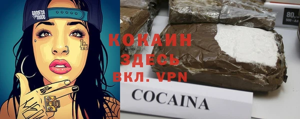 шишки Алзамай