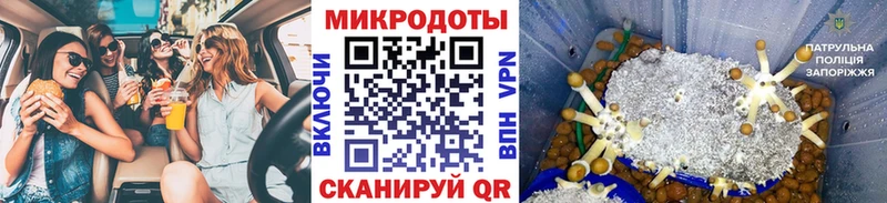 Галлюциногенные грибы Psilocybine cubensis Элиста